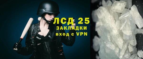 шишки Лагань