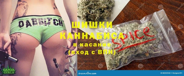 шишки Лагань