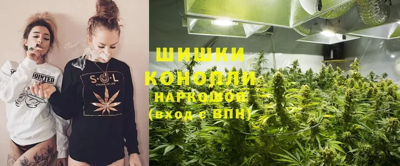 что такое наркотик  Вышний Волочёк  Каннабис THC 21% 